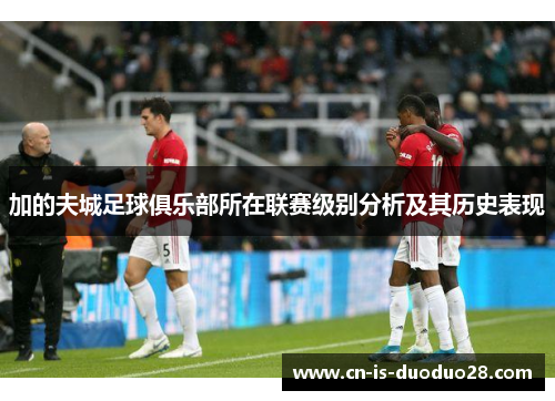 加的夫城足球俱乐部所在联赛级别分析及其历史表现