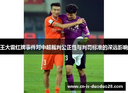 王大雷红牌事件对中超裁判公正性与判罚标准的深远影响